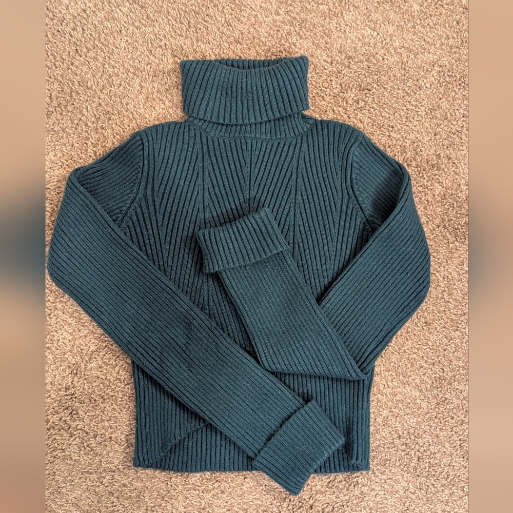 Ribbed Turtleneck Sweater - Dark Green